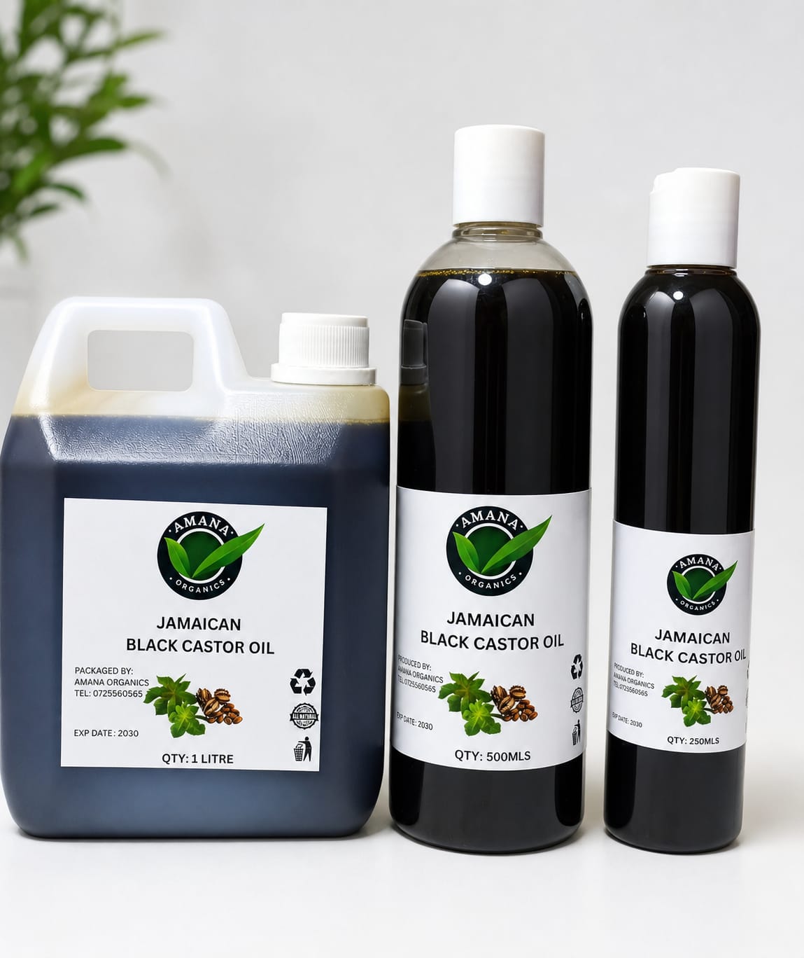 Jamaican Black Castor Oil
